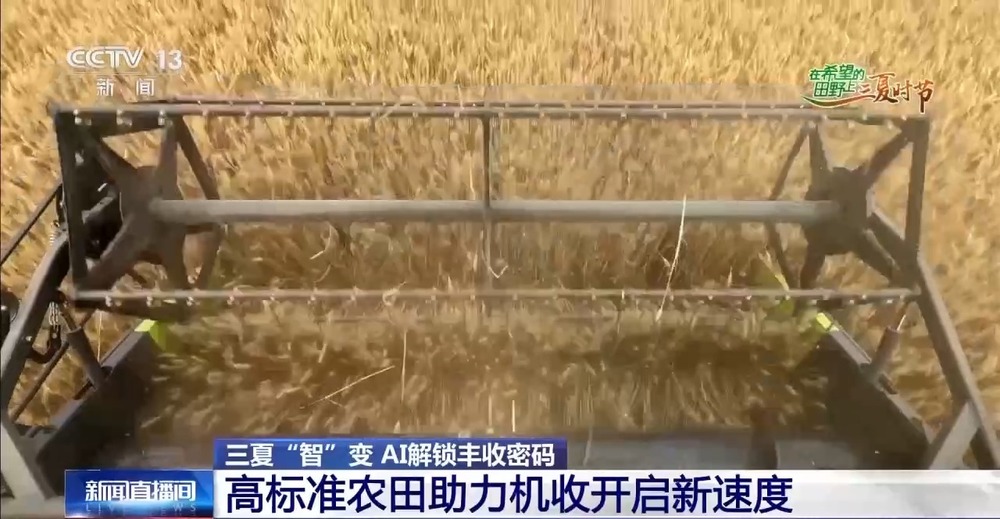 “三夏”AI智能體帶您解鎖豐收密碼！(圖8)