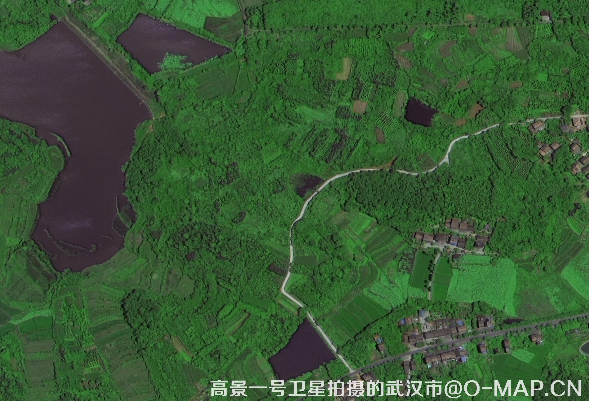 遙感衛(wèi)星數(shù)據(jù)+數(shù)字AI技術(shù)+傳統(tǒng)山水畫！“空天視角下的關(guān)山月寫生之路”展覽開幕