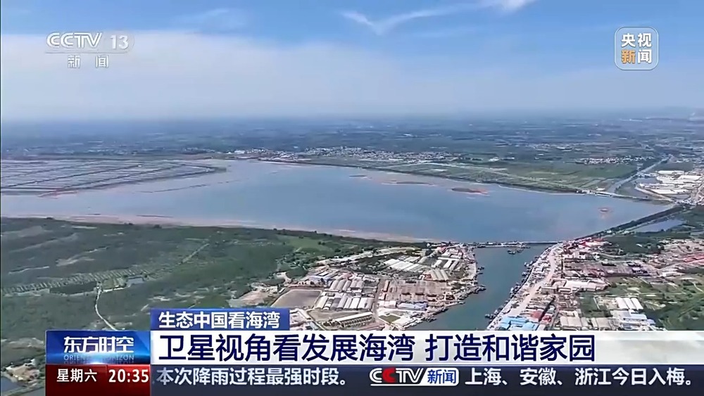 保護潮起潮落間的美麗！看這是建設海灣的“硬核”實力