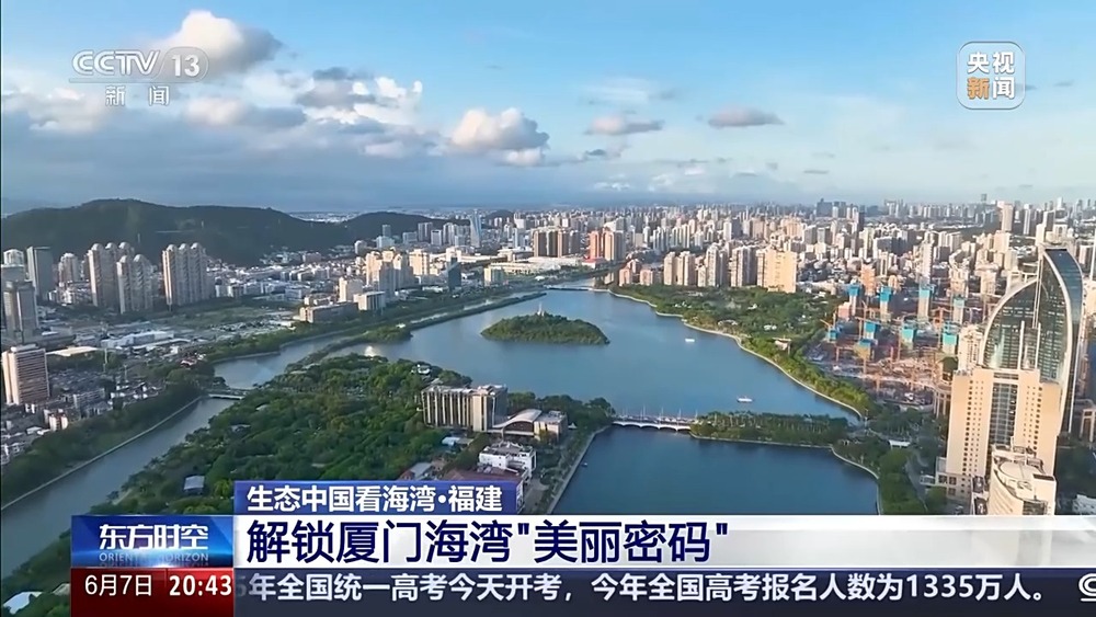 保護潮起潮落間的美麗！看這是建設(shè)海灣的“硬核”實力(圖11)