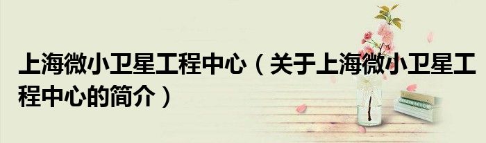 上海微小衛(wèi)星工程中心（關(guān)于上海微小衛(wèi)星工程中心的簡介）