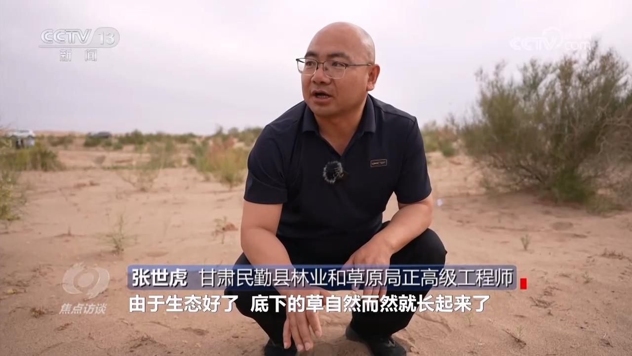 焦點(diǎn)訪談｜久久為功 祖國北疆筑起抵御風(fēng)沙“綠色長城”(圖5)