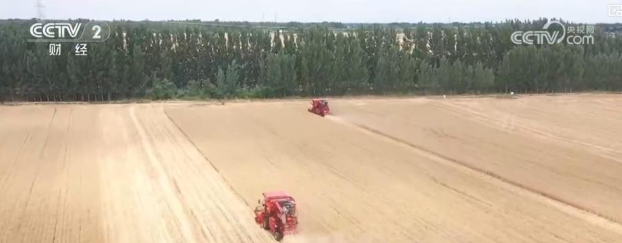 麥浪里的科技范：看智能農(nóng)機(jī)如何實(shí)現(xiàn)“顆粒歸倉(cāng)”