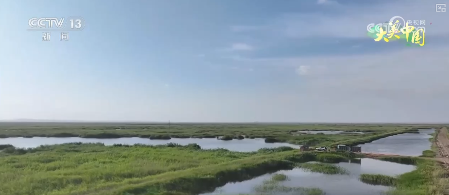 東北虎豹數(shù)量增長、沙漠變綠洲……科技助力 生態(tài)蛻變盡顯“智慧”底色(圖8)